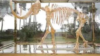 Armor Screen Protects Mammoth Sculpture At Faena Hotel