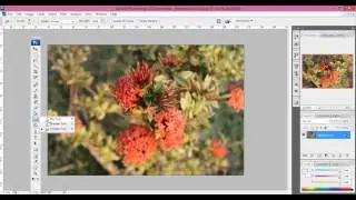 Dodge,Burn, and Sponge Tools In Photoshop