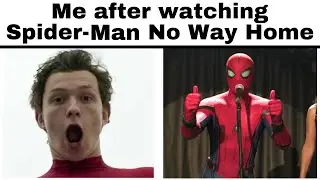 SPIDER-MAN NO WAY HOME MEMES (spoilers)