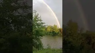 Красота природы #shorts #рыбалка #carpfishing #shortsyoutube