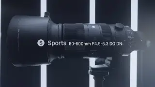 The Sigma 60-600mm Sport