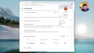 Chrome wachtwoorden exporteren en importeren - Google Workspace (user guide)