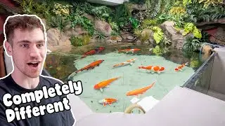 @coralfish12g Ultimate Indoor Pond Transformation