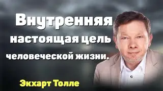 Экхарт Толле: Внутренняя и внешняя цель человеческой жизни. Как их найти, примерить и начать жить.