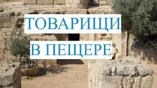 Товарищи в пещере/ Плейлист "Исламские истории"