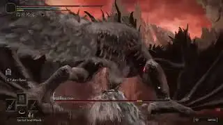 Random Drake is an easy boss #eldenring