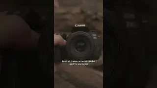 What Are They Good For? Canon 77D vs Canon 600D