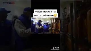 #жириновский