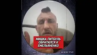 Мишка Питбуль обратился к Емельяненко