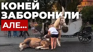 Розвага чи знущання: моторошний інцидент стався у Львові | Що каже власниця коней?