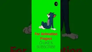 Tom & Jerry 