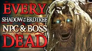 I Killed Every NPC In Elden Ring's DLC
