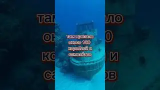 Несколько фактов о Бермудском треугольнике #shorts #1минута #МирВсего #ВладимирВысоцкий #Саргассово.