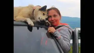 Лапа на крыше....