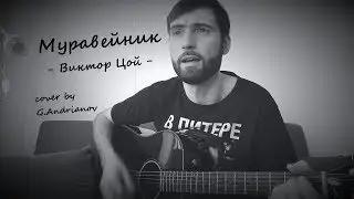 Песня Виктора Цоя (группа КИНО) — Муравейник | Русские рок песни под гитару | (cover by G.Andrianov)