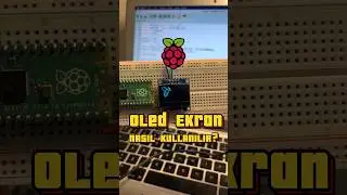 Nasıl kullanılır 1. Bölüm Oled Ekran #raspberrypipico #oleddisplay #micropython