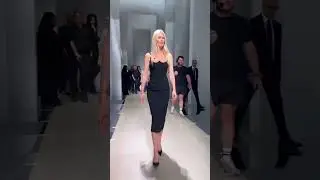 Кошка Шиффер написала книгу