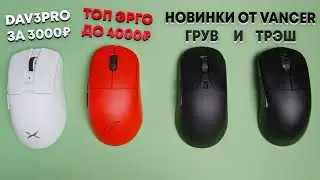 ТОП ЭРГО МЫШЬ от Zaopin и остальные новинки!