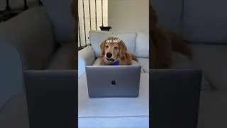 When you find out you're old and colorblind - part 1