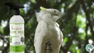 UnRuffledRx Aloe Vera Spray