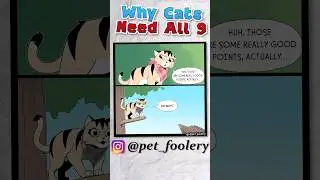 Pixie is on her last life