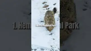Top 10 national parks in India 2024 #top10 #shrots #parks #top10nationalparks