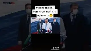 #жириновский