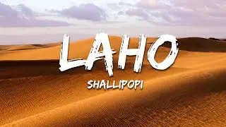 Shallipopi - Laho (Lyrics)