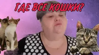ПОЧЕМУ НЕ ВИДНО КОШЕК? ЮЛЯ СТАР. ОБЗОР.