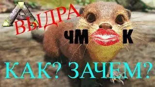Выдра в Ark Survival как приручить и зачем?