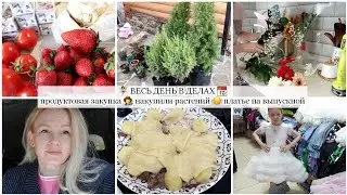Выбираем платье на выпускной🌸 Продукты на неделю🌿В садовый центр🪻Уже готовимся в 1й класс🕊