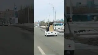 АКАДЕМИК ХАСАНИТ НА ТЕЛЕЖКЕ