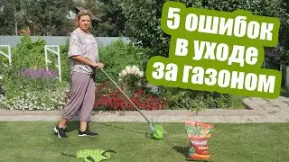 ГАЗОН ОСЕНЬЮ: не допускайте эти ошибки!