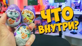 44 КОТЕНКА: Распаковка [ЧЁ ВНУТРИ?]