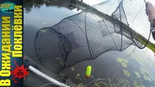 Рыбалка на морду .Ловим щуку и  не только !
