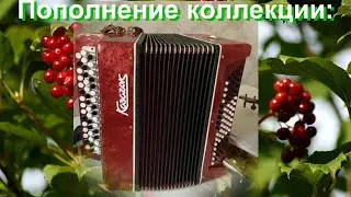 Пополнение коллекции - баян 