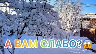 Да идите вы все в баню !!!! 