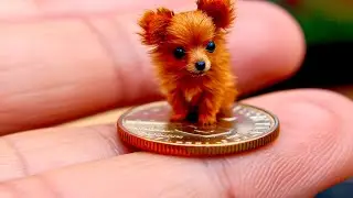 20 Smallest Dog Breeds In The World
