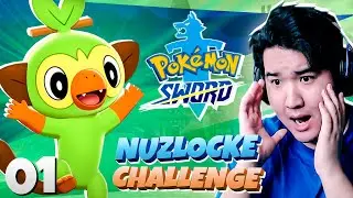 ОБЕЗЬЯНКА ГРУКИ - Pokemon Sword: NUZLOCKE #1 | ПОКЕМОНЫ НА НИНТЕНДО СВИЧ (ИСПЫТАНИЕ НАЗЛОК)