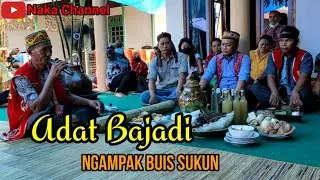 Adat Bajadi, NGAMPAK BUIS SUKUN, Adat Pernikahan Sub Suku Dayak Laur || GG. Pinang || #75