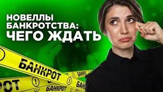 “Новеллы банкротства: чего ждать”