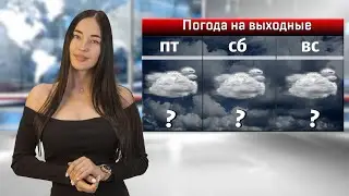 В Ростовской области на выходных ожидаются заморозки и сильный ветер