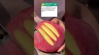 Анекдот про комара, полицейского и колесо😂 