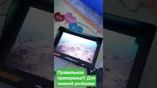 Чем прикормить окуня зимой?