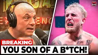 Joe Rogan Just HUMILIATED Jake Paul After Jake CANCELLED The Mike Tyson Fight!