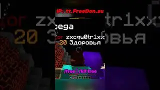 Лутай Донат на Анархия FUNTIME ПвП | Копии Фантайм PVP | FreeDon |