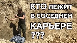 Доказательство потопа у нас под ногами: тонны окаменелой органики в одном тонком слое!