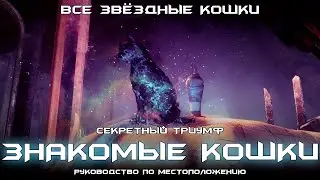 Знакомые кошки - руководство по местоположению всех Звёздных Кошек. [Destiny 2]