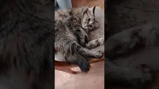 #мышление