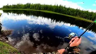 Ещё один рыболовный поход. Рыбалка в Эвенкии, день второй.